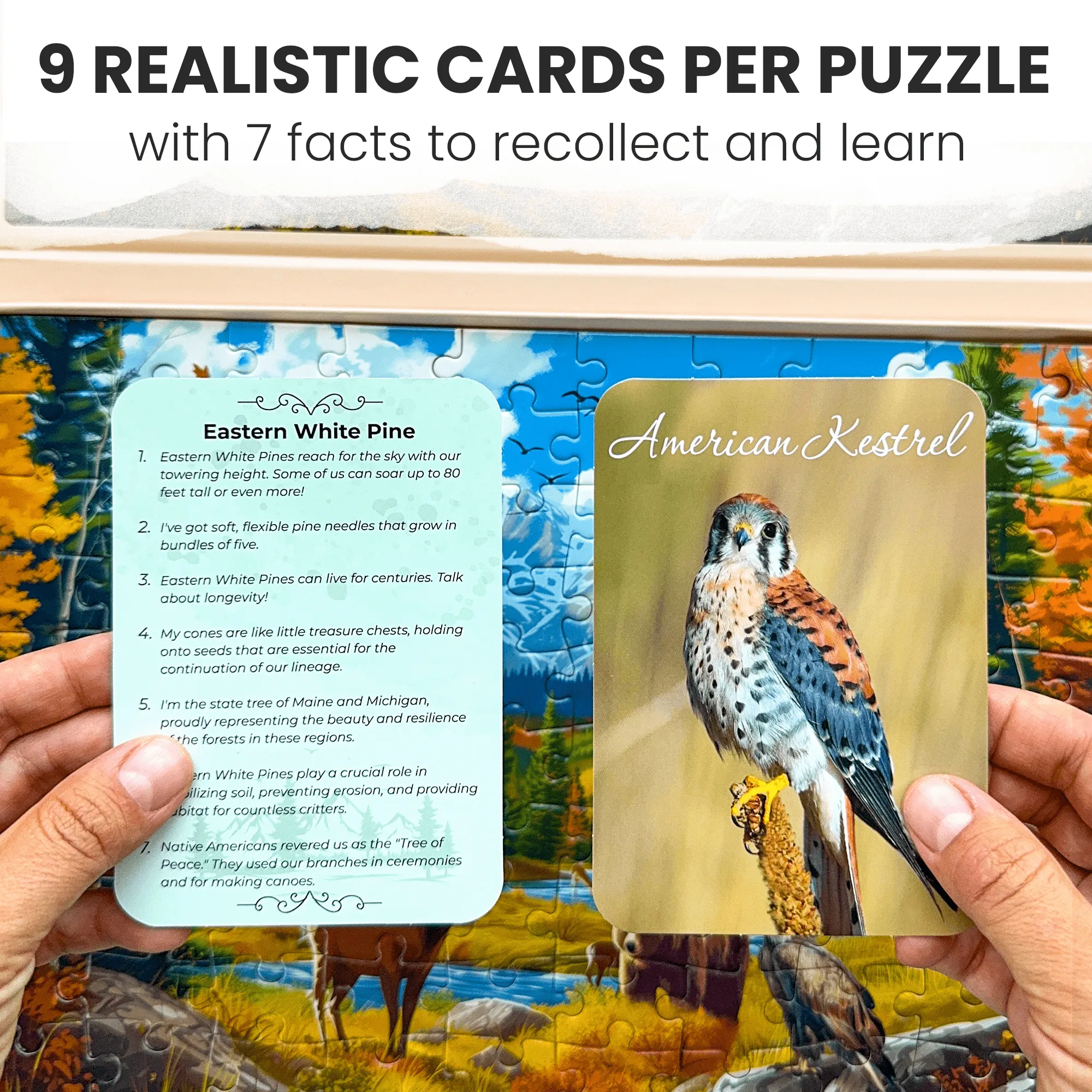 100 Pcs Dementia Puzzles for Elderly | Picturesque Views