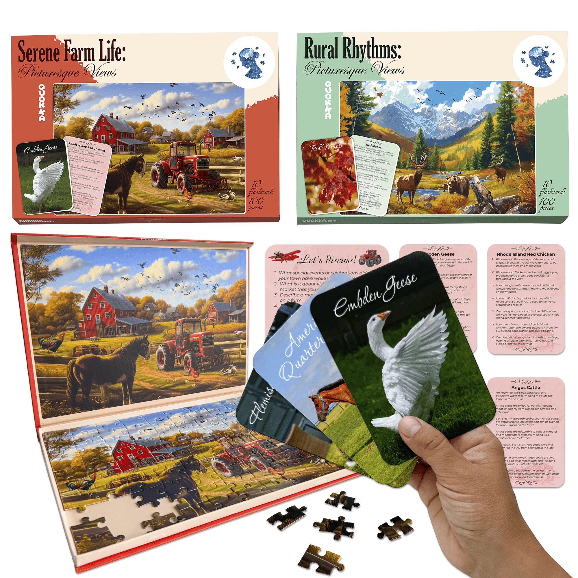 100 Pcs Dementia Puzzles for Elderly | Picturesque Views