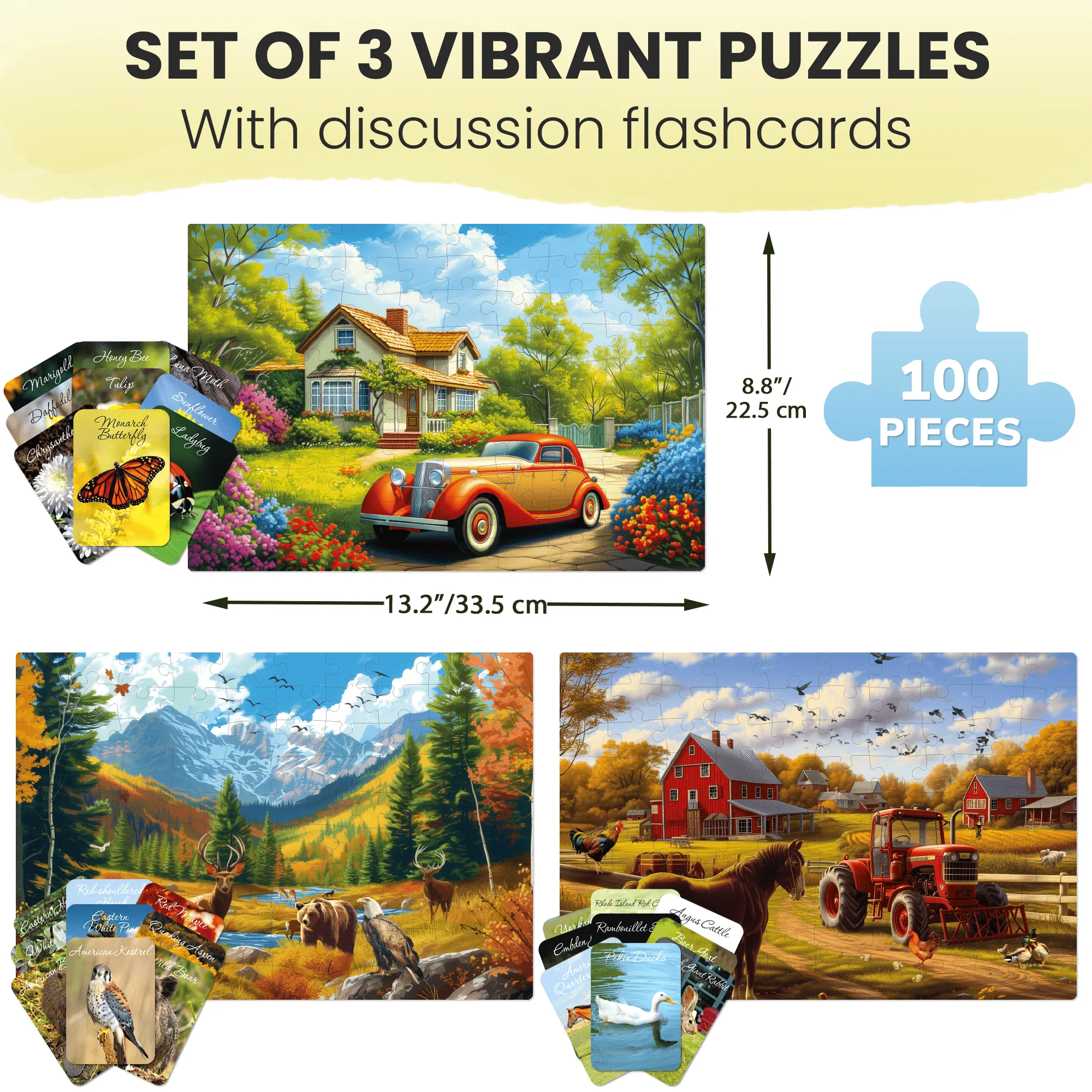 100 Pcs Dementia Puzzles for Elderly | Picturesque Views