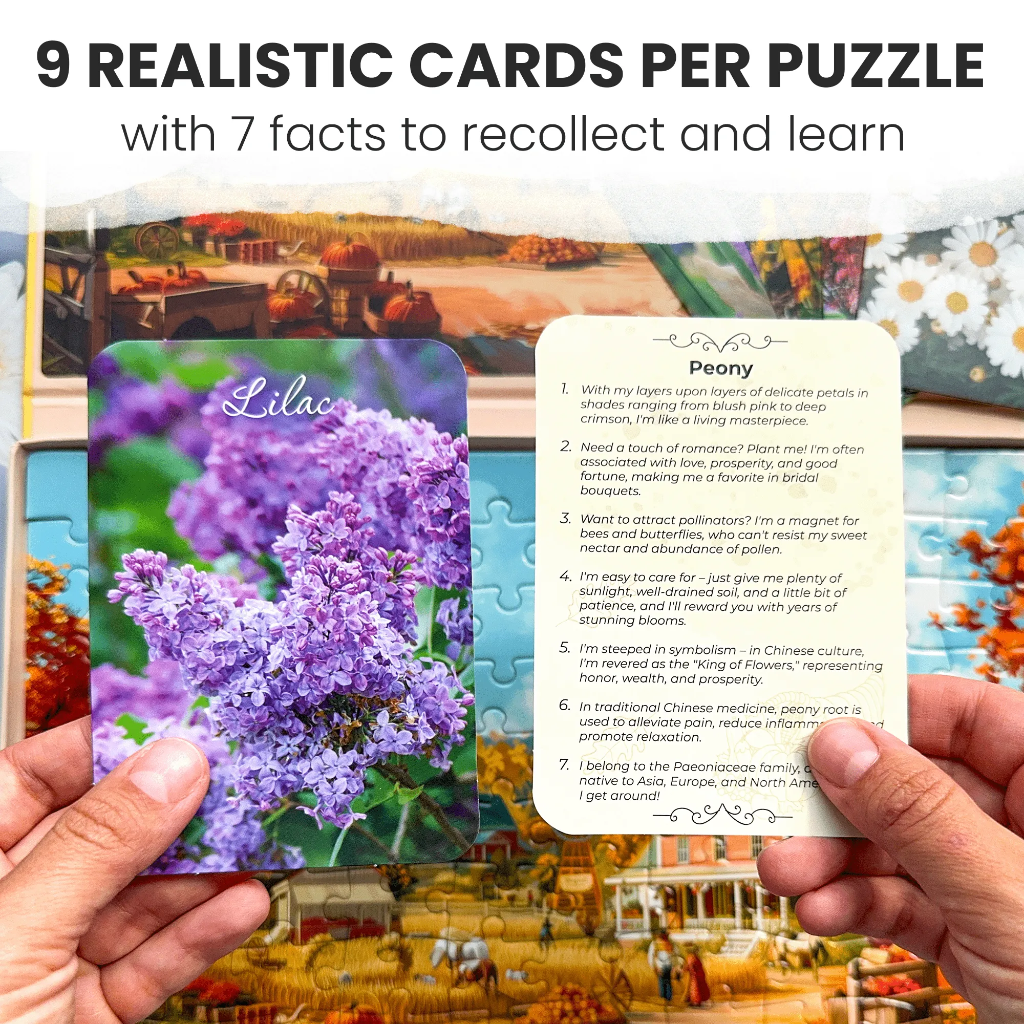 100 Pcs Dementia Puzzles for Elderly | Small Town