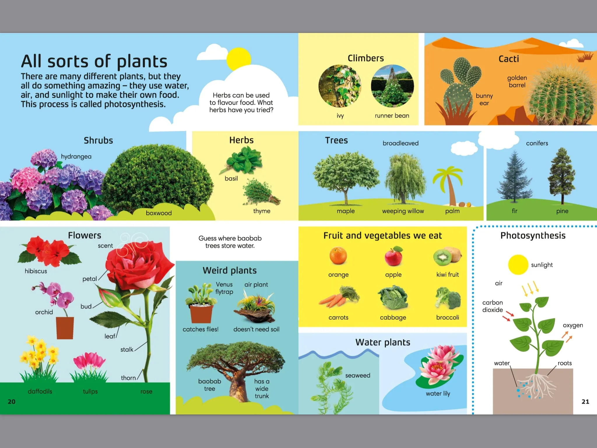 1000 Words: Nature | Build Nature Vocabulary and Literacy Skills