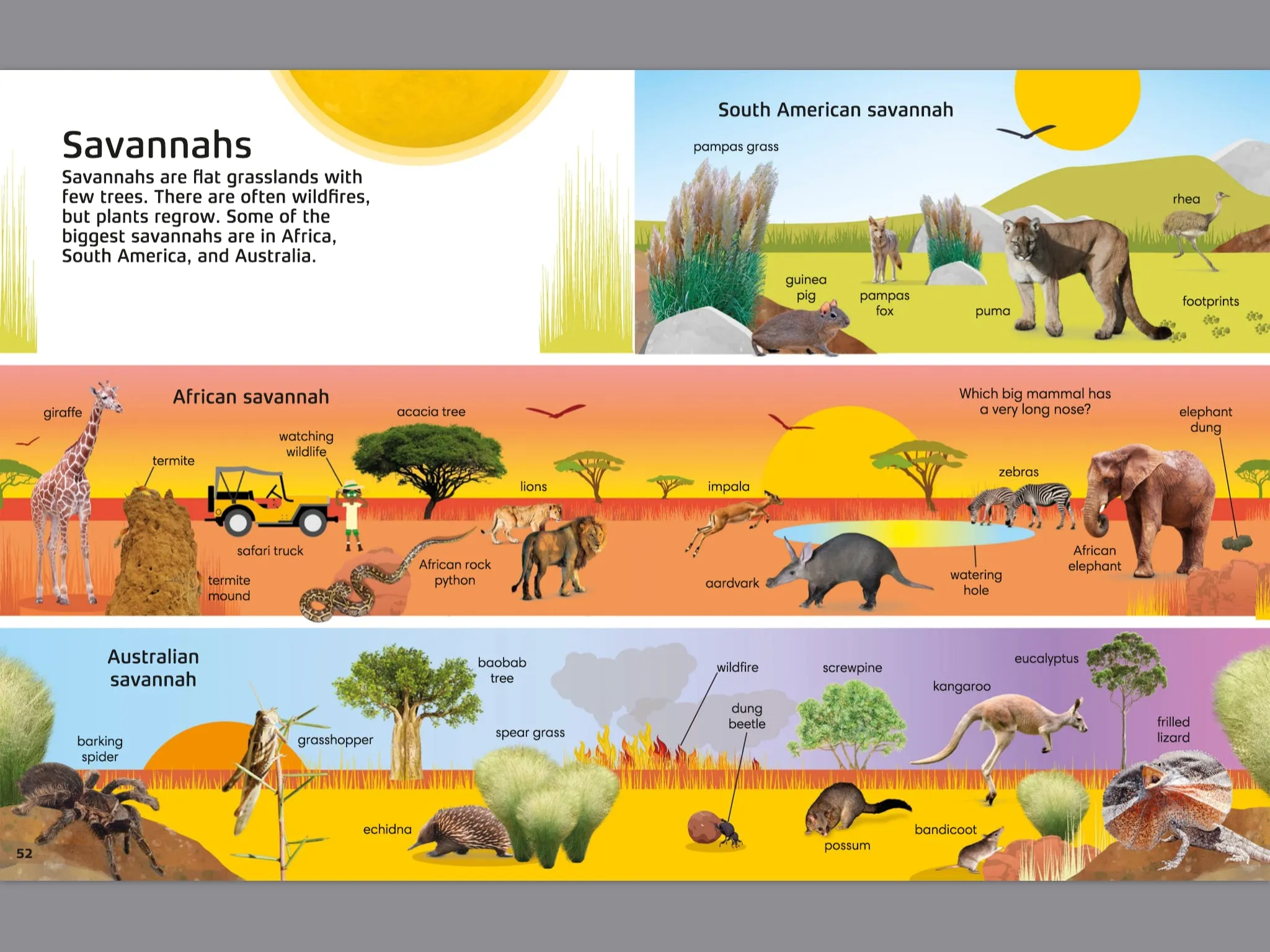 1000 Words: Nature | Build Nature Vocabulary and Literacy Skills