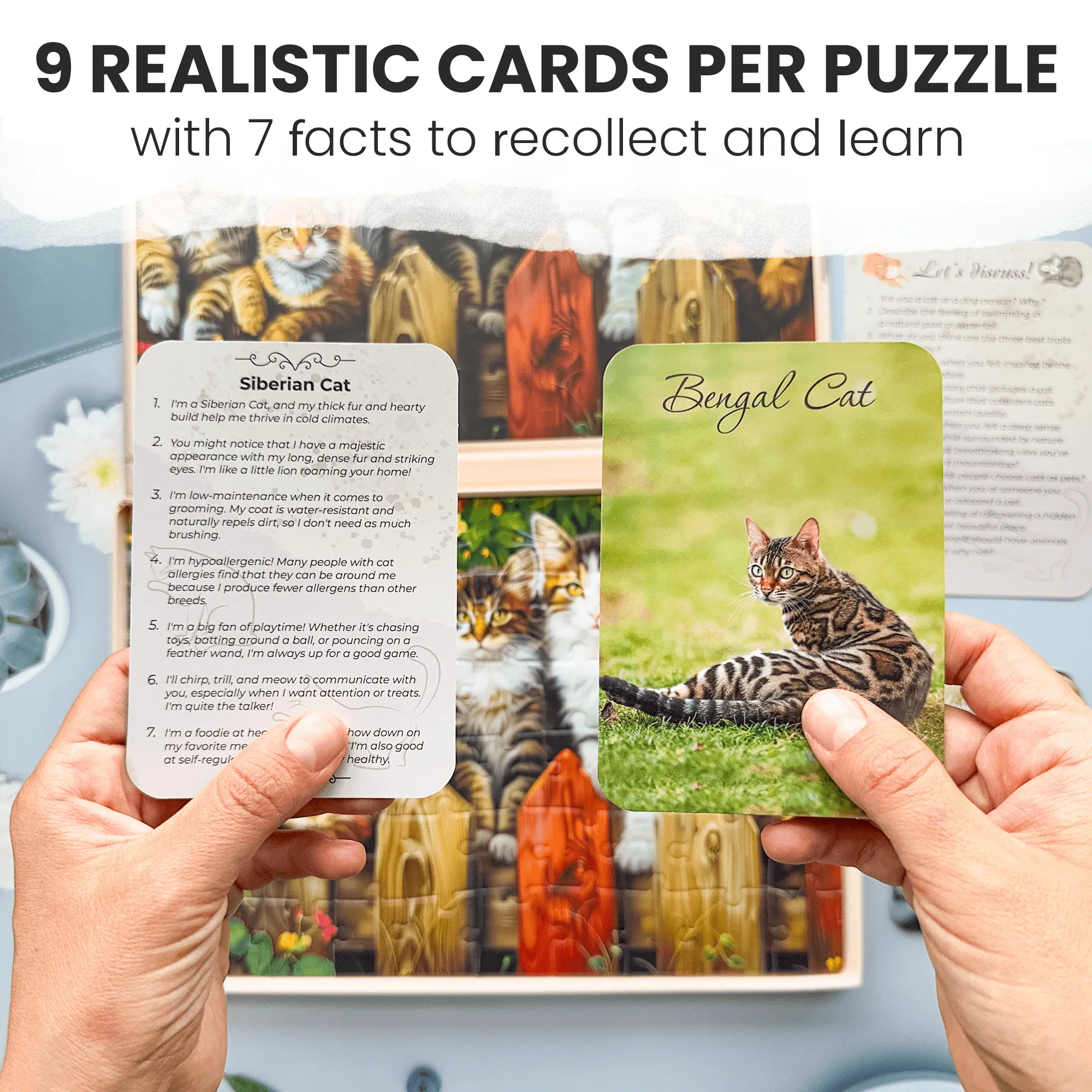 60 Pcs Dementia Puzzles for Elderly | Gems of Nature