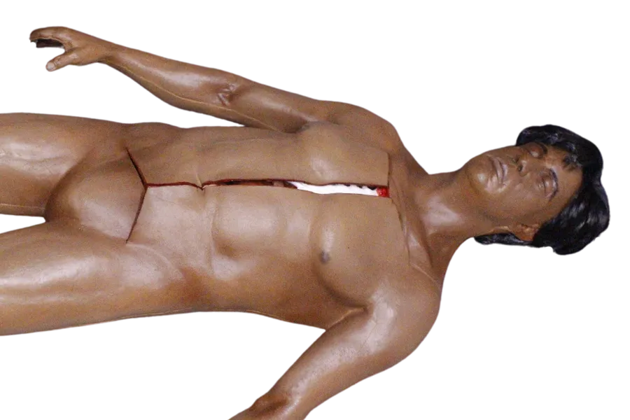 Deluxe Autopsy Ben Body