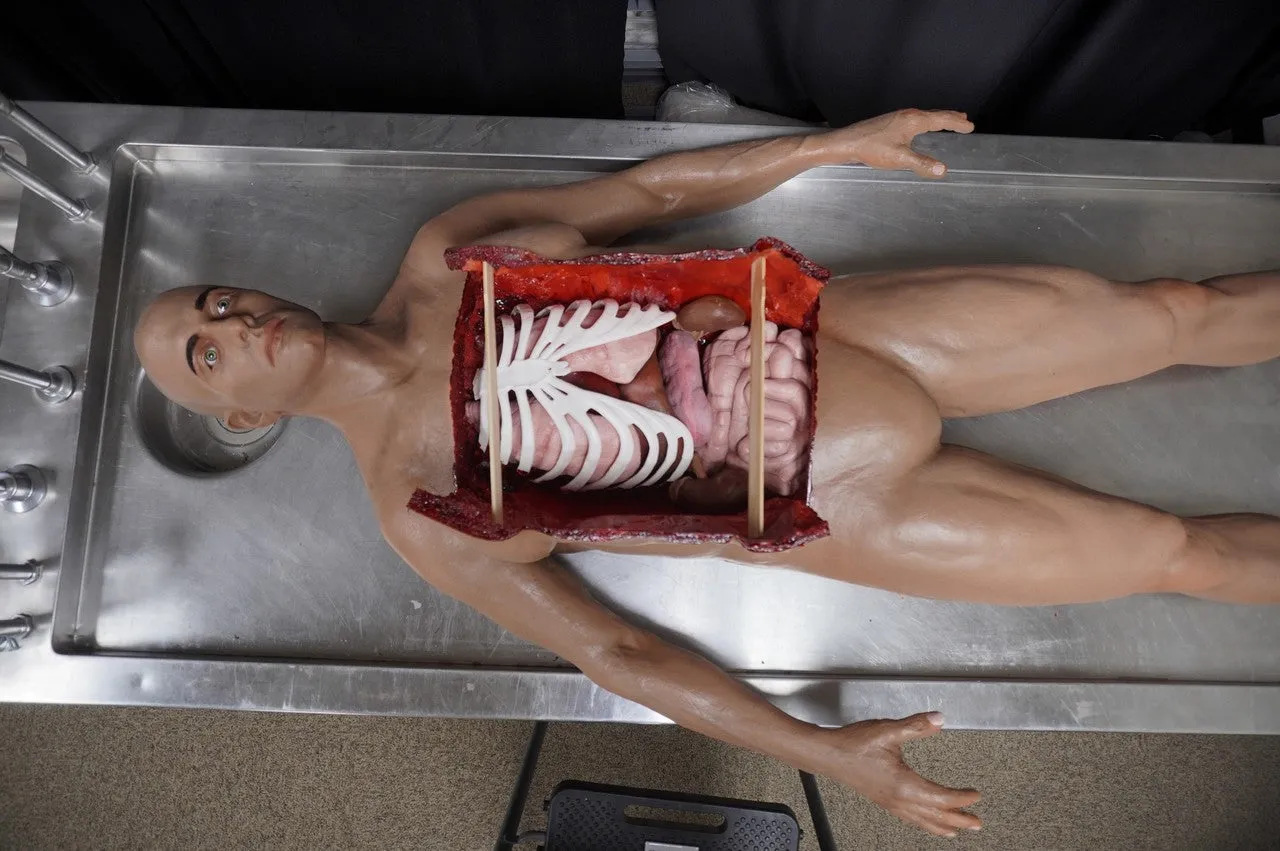 Deluxe Autopsy David Body with Open Eyes